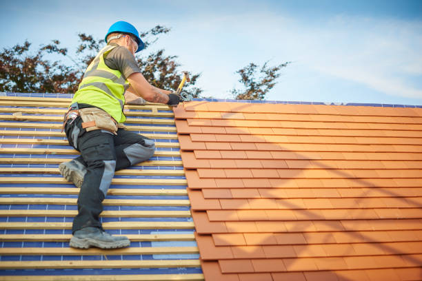 Best Roof Moss and Algae Removal  in Stone Mountain, GA